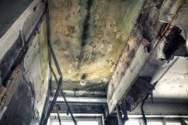 Best Air Quality Testing for Mold Spores  in Brownfields, LA